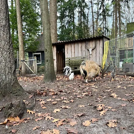 In Near Forest & Cycling, Cleaning Included Ferienhaus Lochem
