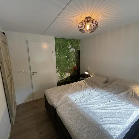 In Near Forest & Cycling, Cleaning Included *