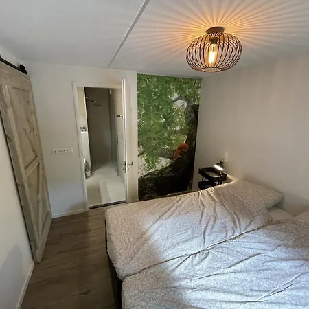 In Near Forest & Cycling, Cleaning Included * Lochem